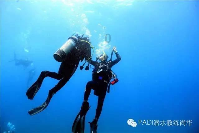 小红帽找不同