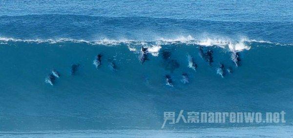 弹球突破